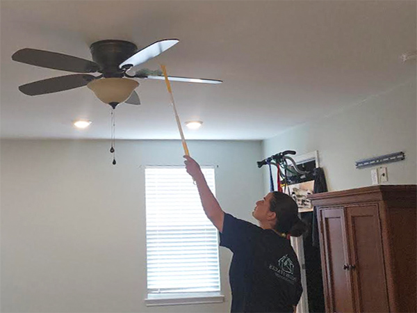 Clean Ceiling Fans